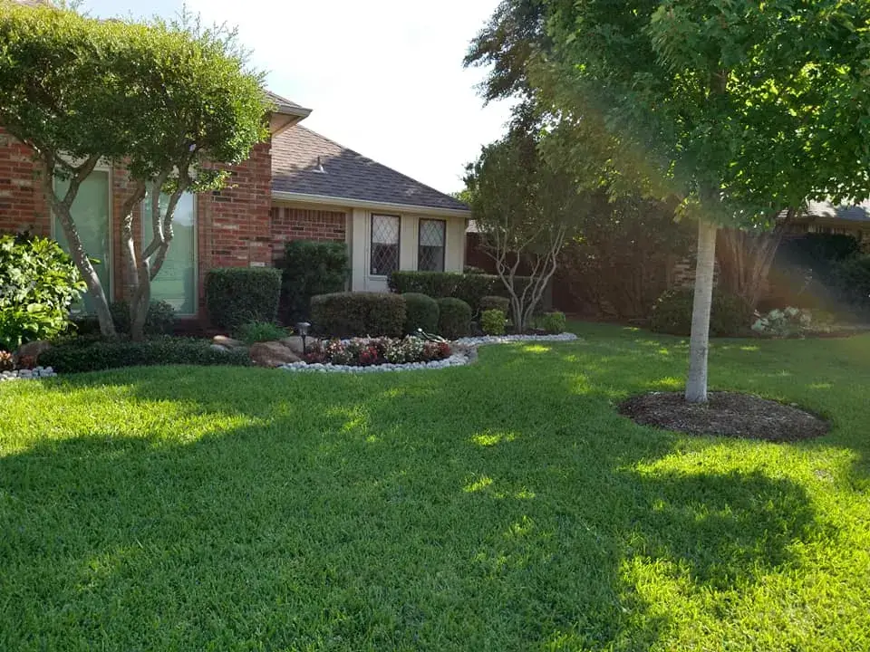 General Lawn Care and Maintenance
